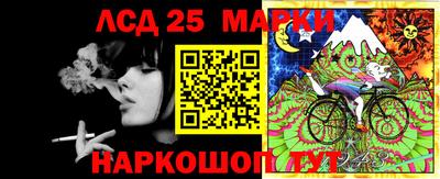 стаф Краснодар
